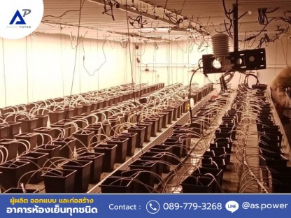 รับสร้างห้องเพาะกัญชา - บริษัทสร้างห้องเย็น รับออกแบบติดตั้งห้องเย็น